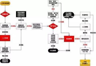 抖音新手養號指南及技巧！