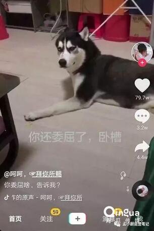 怎么做抖音？抖音6種運(yùn)營(yíng)推廣技巧！